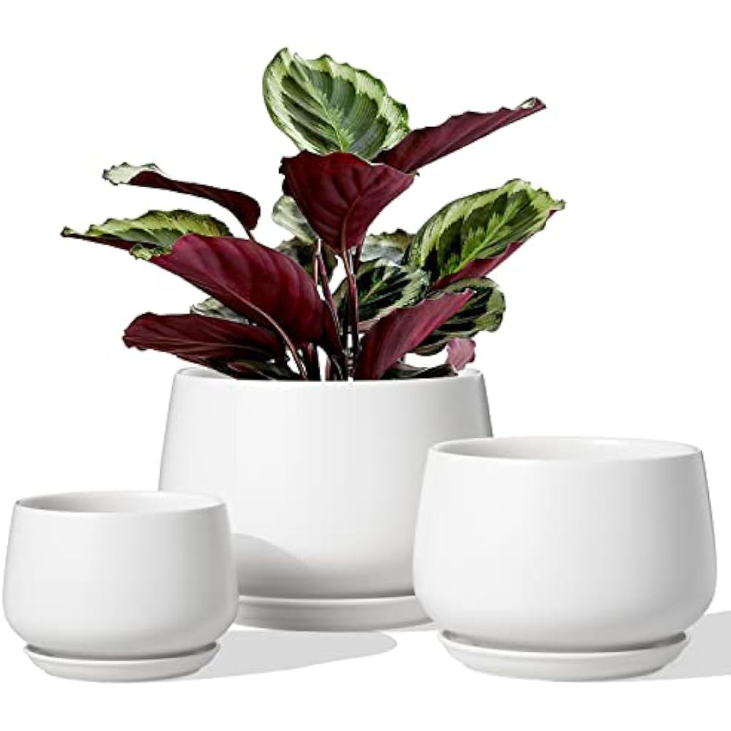 LE TAUCI Ceramic Plant Pots - Set of 3 Modern Indoor Planters, White