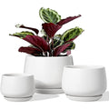 LE TAUCI Ceramic Plant Pots - Set of 3 Modern Indoor Planters, White
