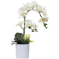 Olrla White Artificial Orchid Flowers – Faux PU Phalaenopsis Bonsai