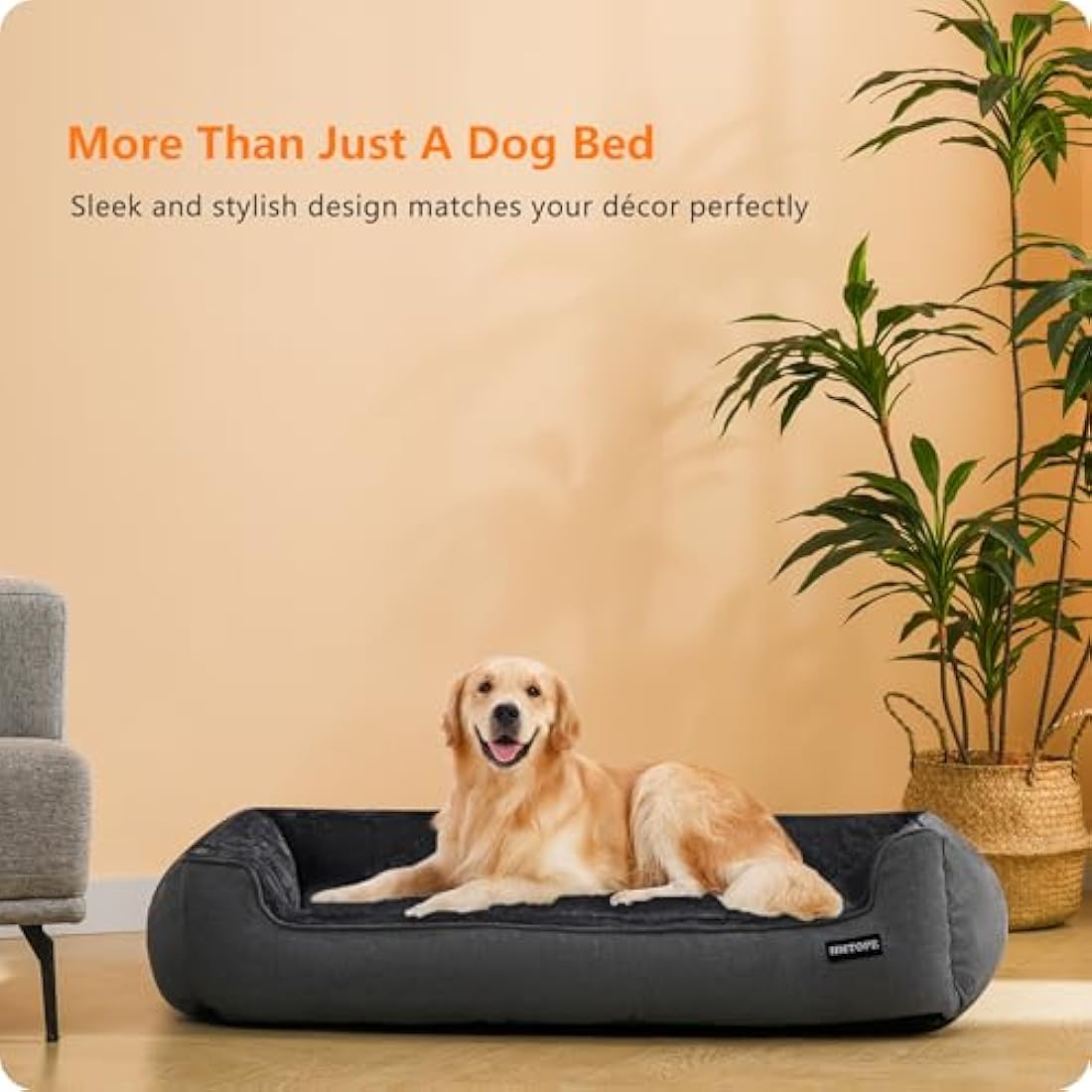 Jolof Store Washable Dog Bed – Soft Plush Pet Sofa with Removable Cover