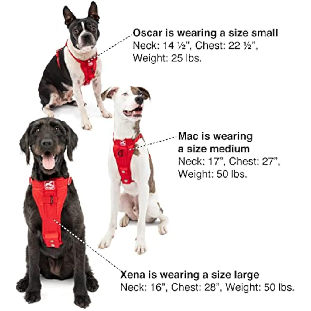 Kurgo Tru-Fit Dog Car Harness – Crash Tested No-Pull Vest, Black, XS