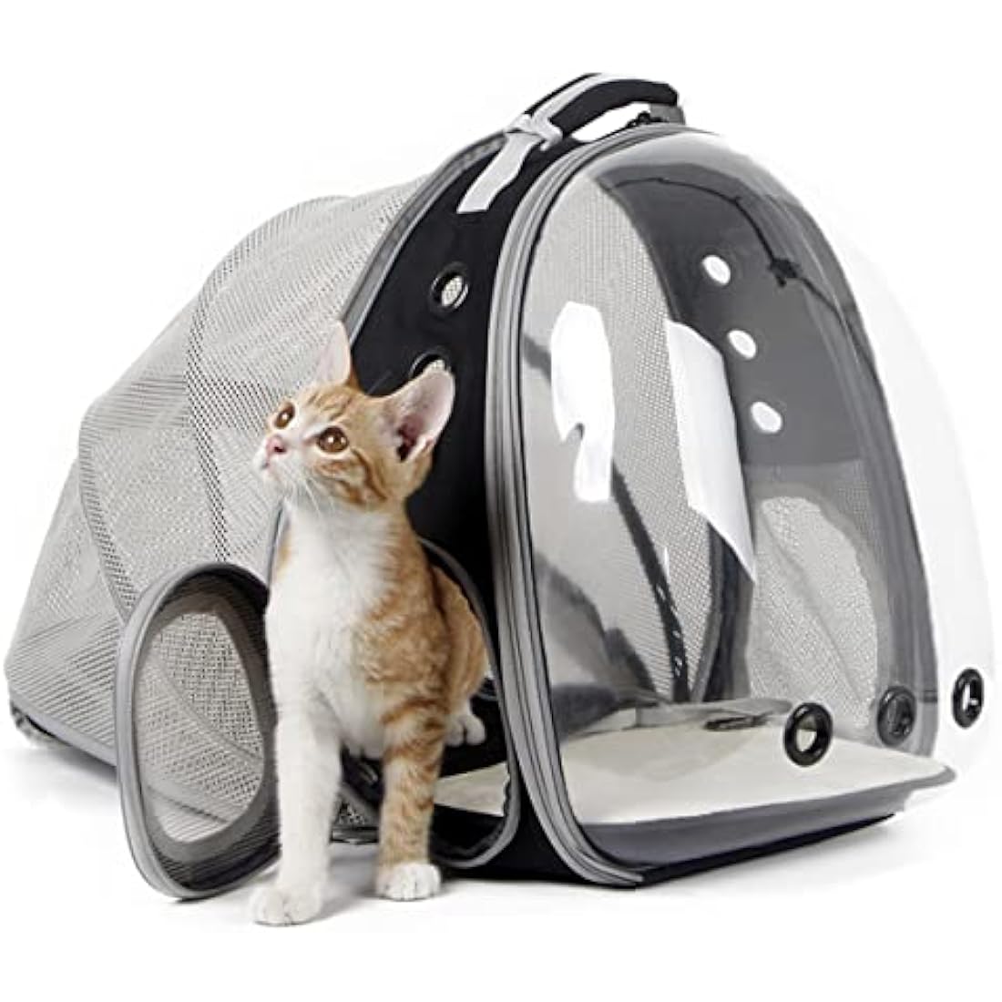Interfashioner Expandable Cat Backpack Carrier | Clear Bubble Window - Black