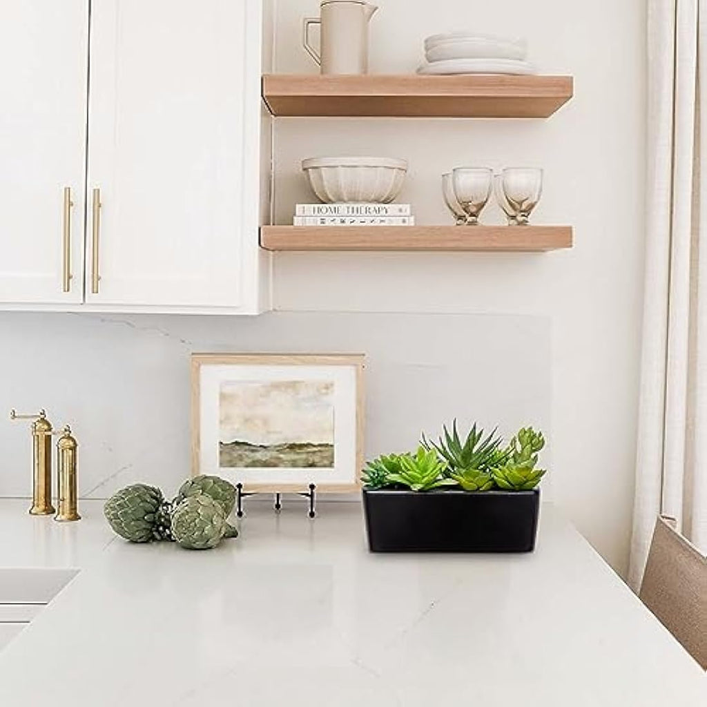 Briful Artificial Succulents in Black Ceramic Pot | Faux Potted Plants
