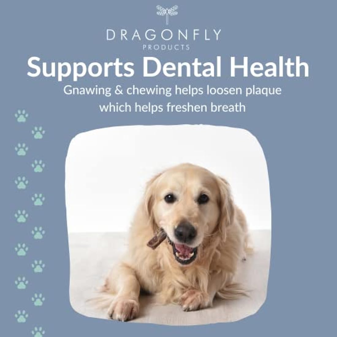 Dragonfly Products Beef Pizzle Bully Sticks - 10 Pack Natural Dog Chews