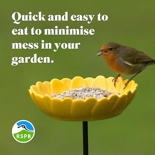 RSPB Sunflower Hearts Wild Bird Food – 4kg High Energy Bird Seed