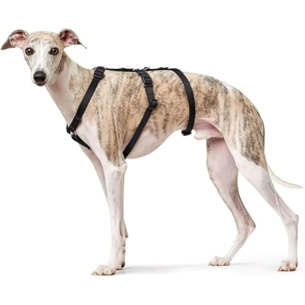 HUNTER Escape-Proof Dog Harness Vario Rapid – Black Nylon, Large