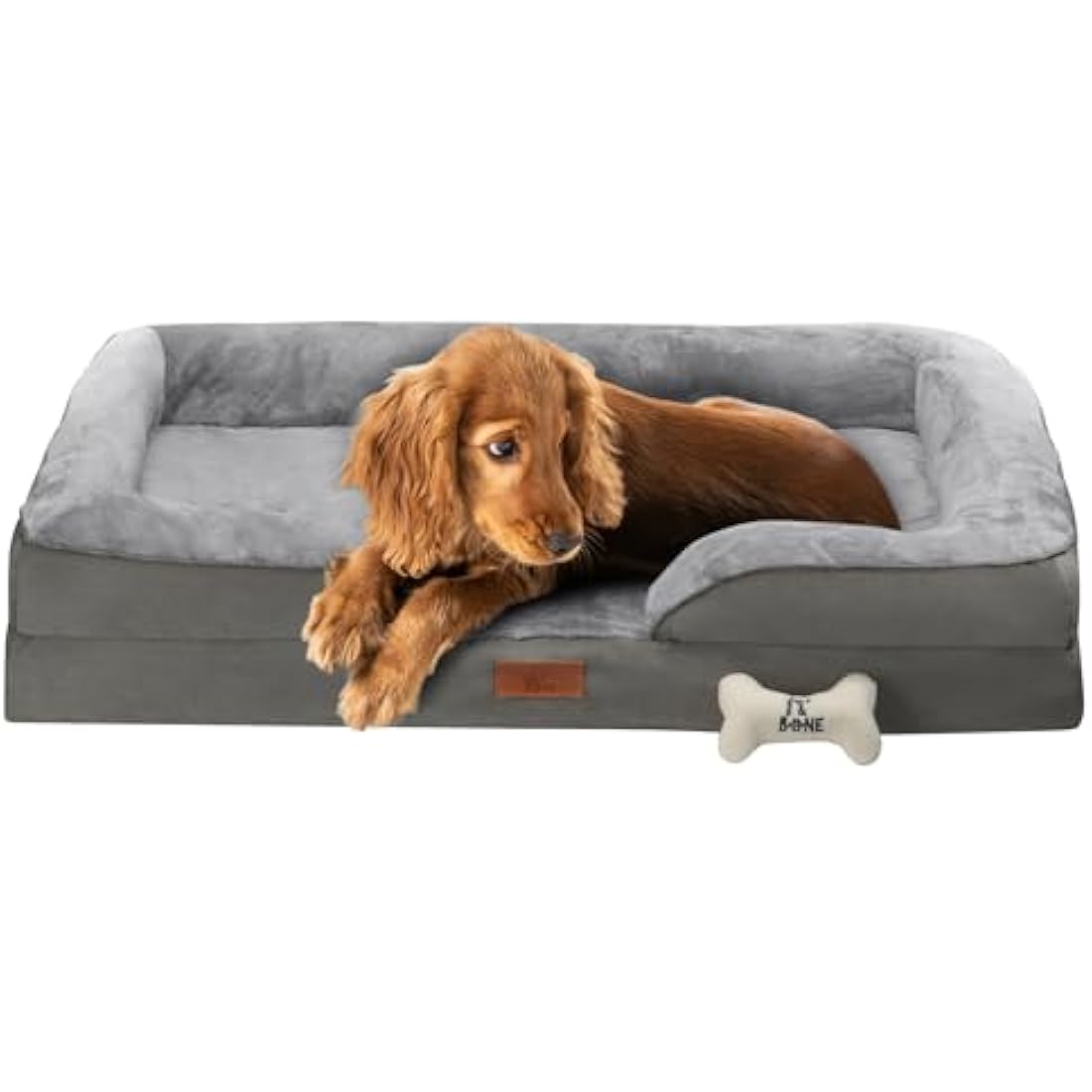 Fur & Bone Orthopedic Large Dog Bed – Memory Foam with Plush Velvet Cover