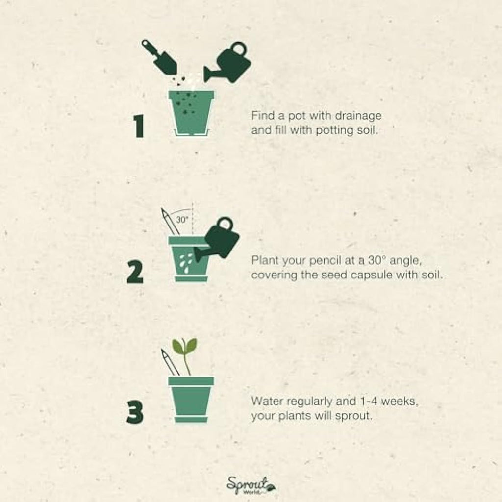SproutWorld Plantable Pencils | Teacher's Edition 32-Pack | HB Graphite