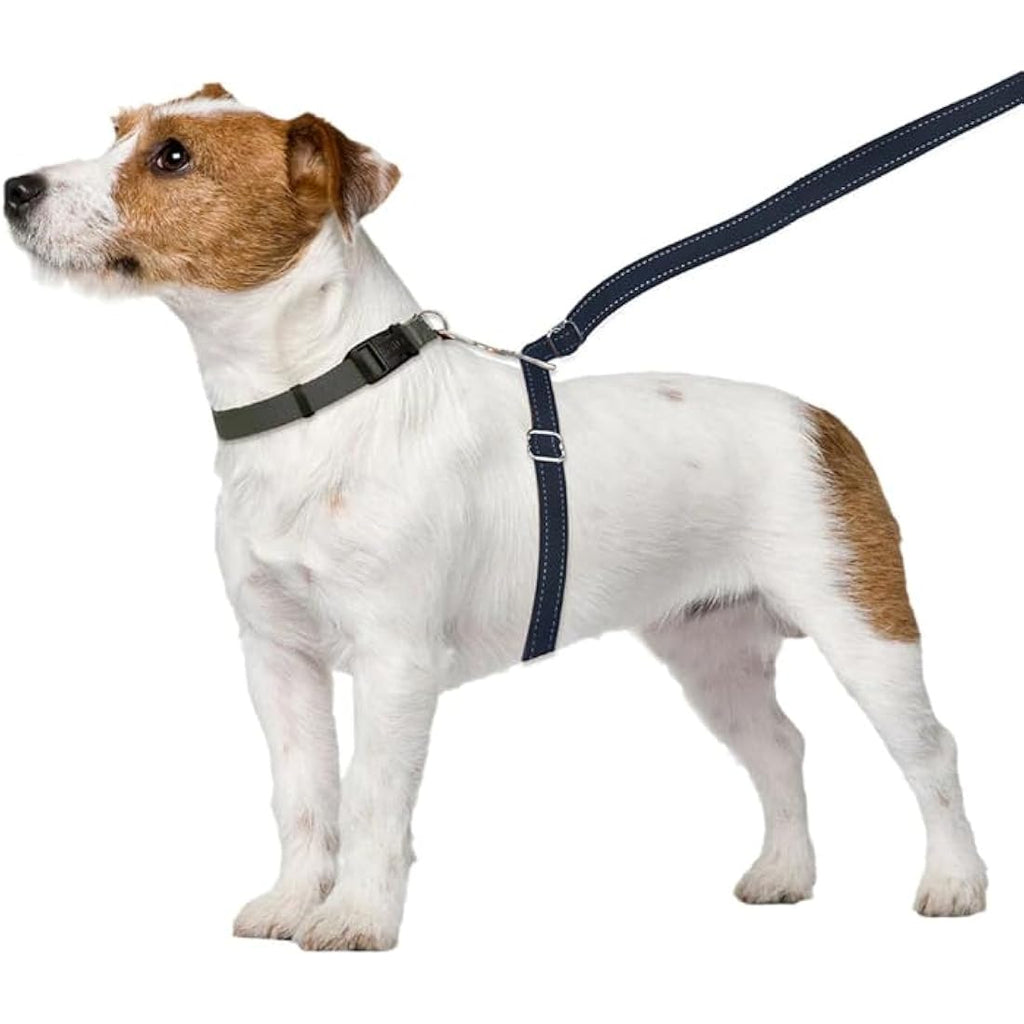 Thunder Leash Large - No-Pull Dog Leash and Training Harness by Jolof