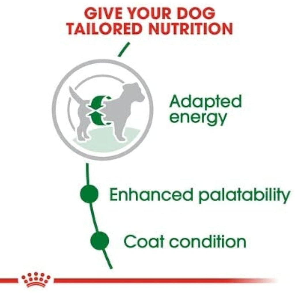 Royal Canin Mini Adult Dry Dog Food – Small Breed Nutrition, 8kg Bag