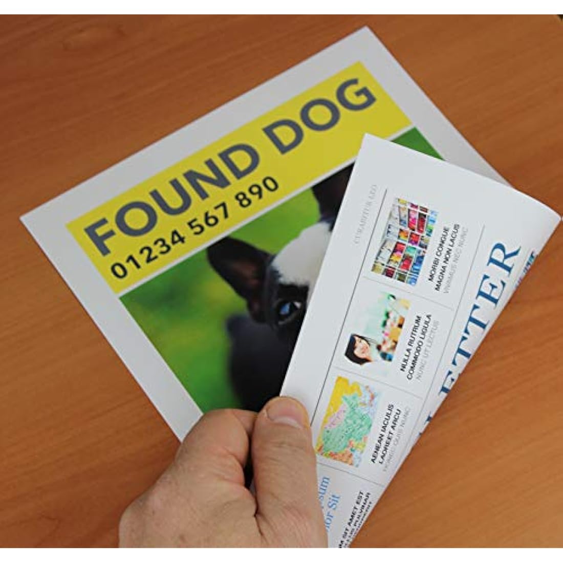 PPD Double Sided Matte Photo Paper | A3 11x17 Inkjet Brochure 210g 50 Sheets