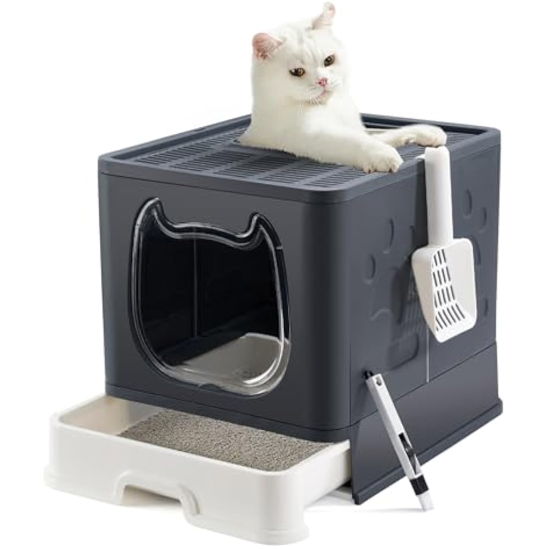Pawsayes Foldable Cat Litter Box with Lid | Top Entry Tray for Kittens
