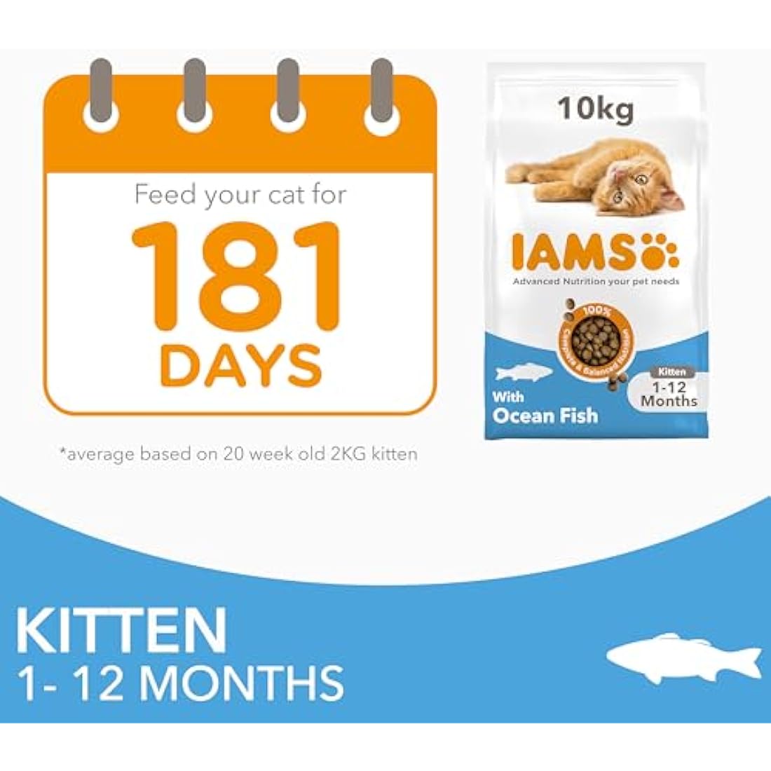 IAMS Kitten Dry Cat Food – Ocean Fish High Protein Formula 10kg