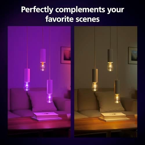 Philips Hue Lightguide ST70 Edison Smart Bulb – Handblown Color LED