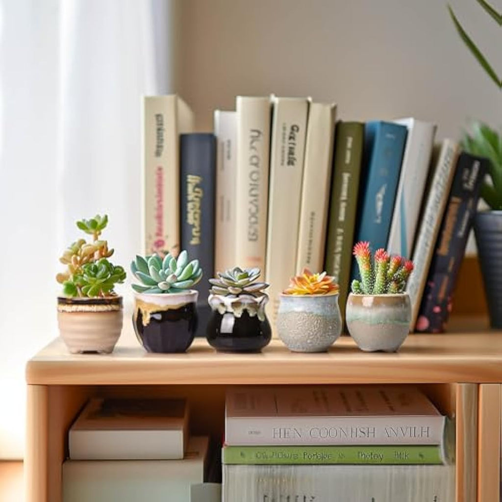 T4U Mini Ceramic Succulent Pots with Drainage - Set of 6 Porcelain Planters