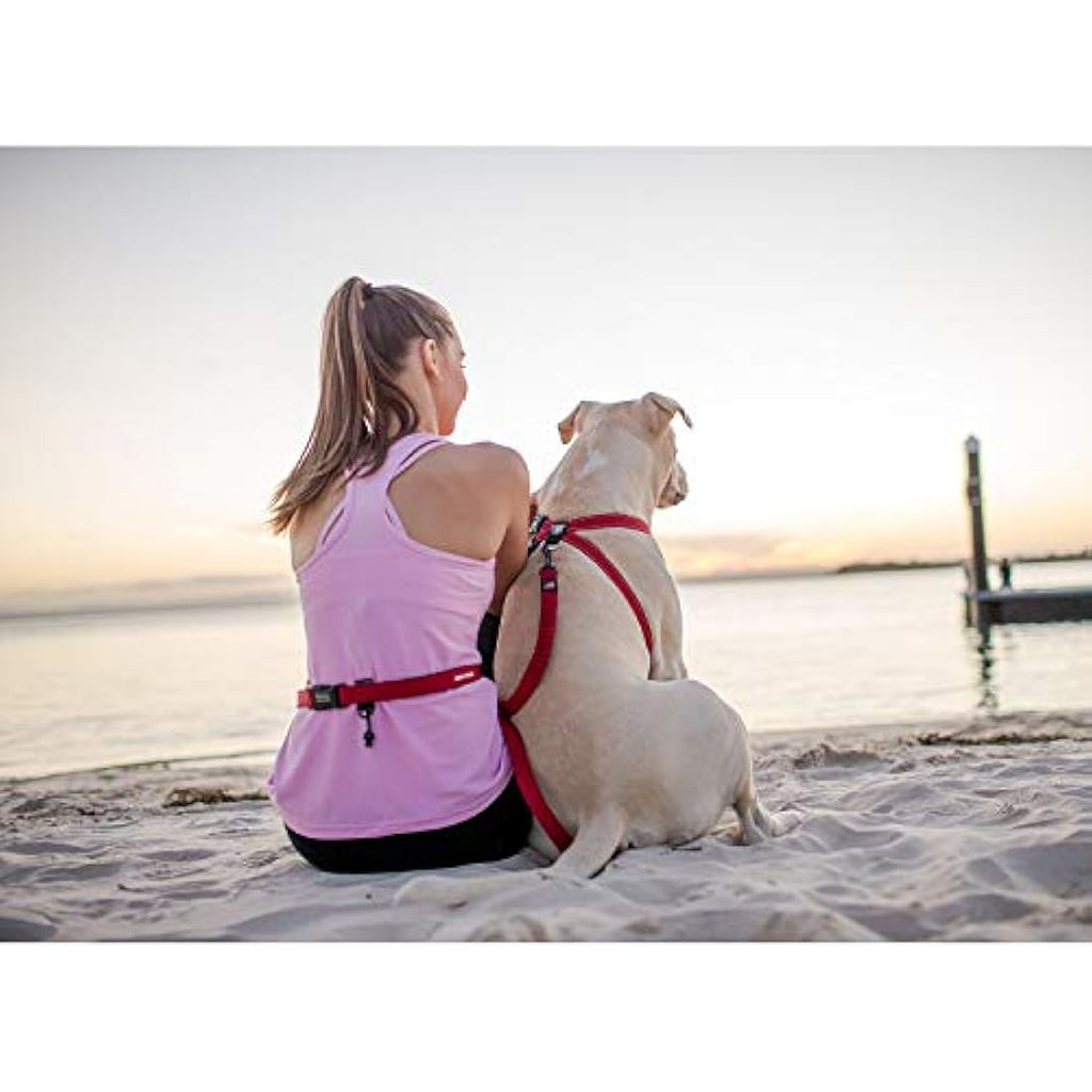 EzyDog Road Runner Hands-Free Dog Leash – Durable Soft Touch Webbing