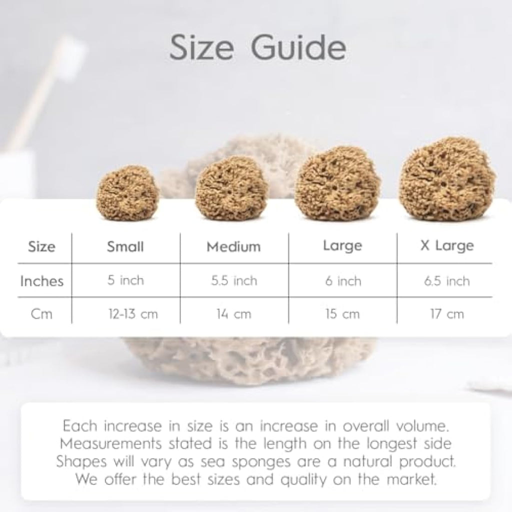 NAROA Natural Honeycomb Sea Sponge – Soft Exfoliating Body Scrubber
