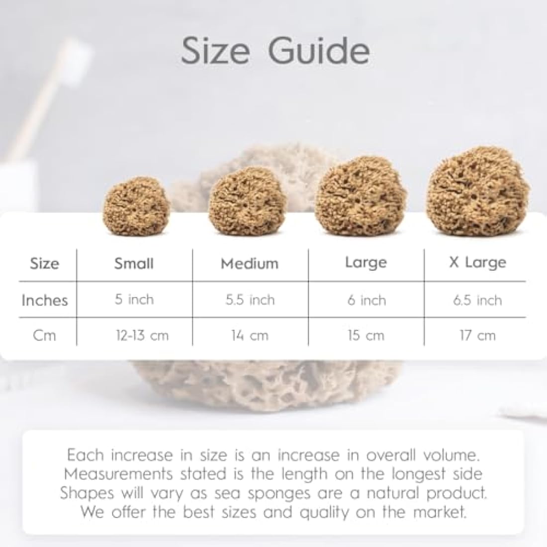 NAROA Natural Honeycomb Sea Sponge – Soft Exfoliating Body Scrubber