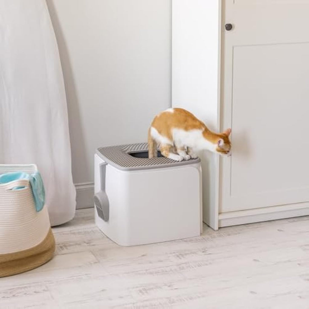 IRIS USA Top Entry Cat Litter Box with Scoop – Odor Control, White