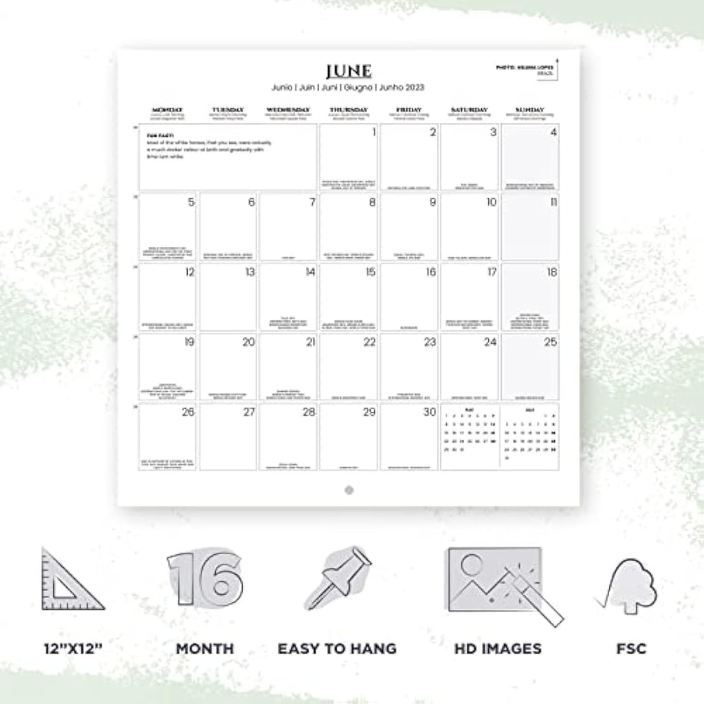 Grupo Erik Horse Wall Calendar 2023 | 12-Month Family Planner | 12x12