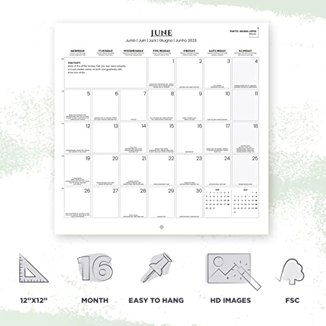 Grupo Erik Horse Wall Calendar 2023 | 12-Month Family Planner | 12x12