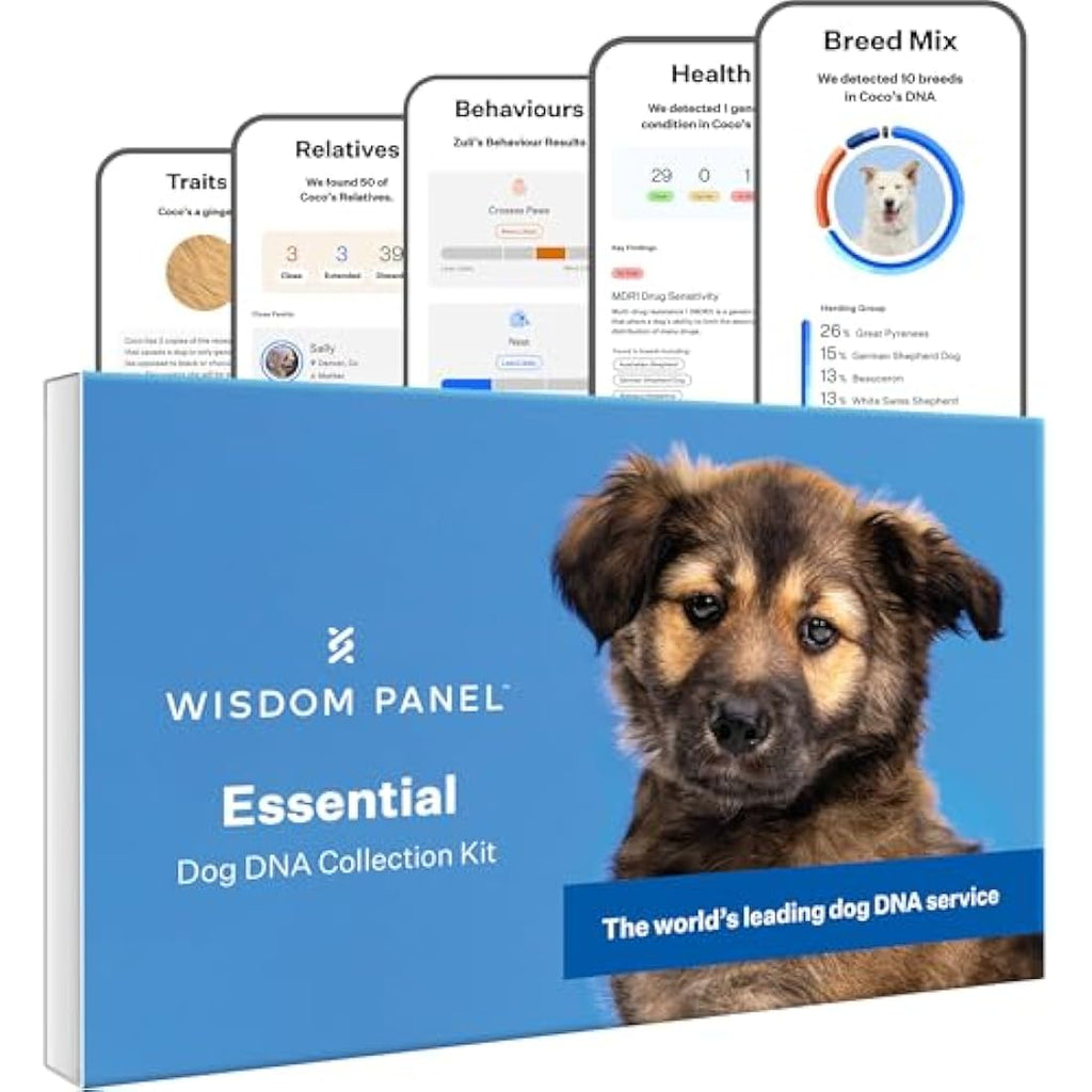 Wisdom Panel Essential Dog DNA Test Kit – Breed ID & Health Screening