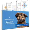 Wisdom Panel Essential Dog DNA Test Kit – Breed ID & Health Screening