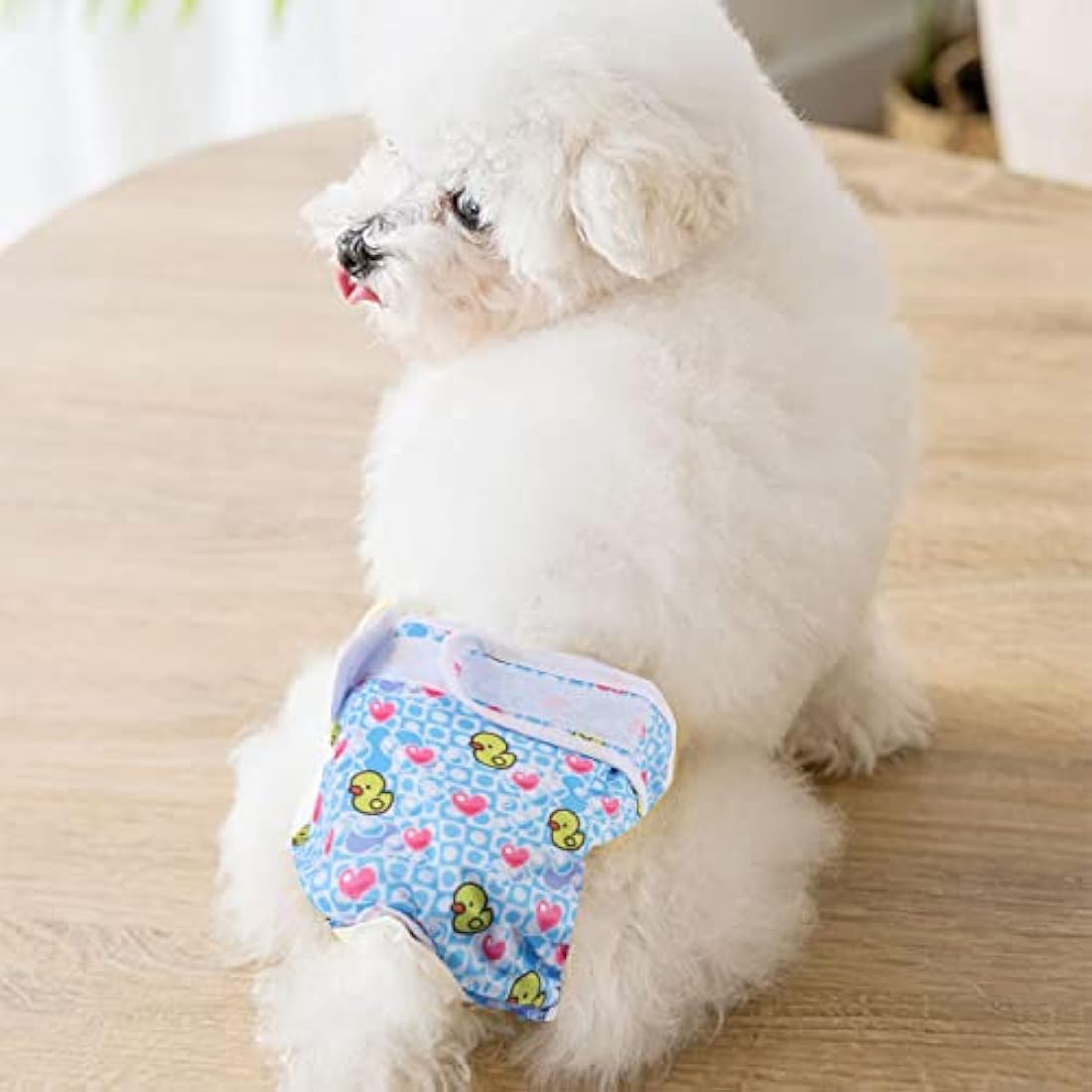 Medo Reusable Dog Diapers | 3-Pack Washable Female Puppy Wraps - XL