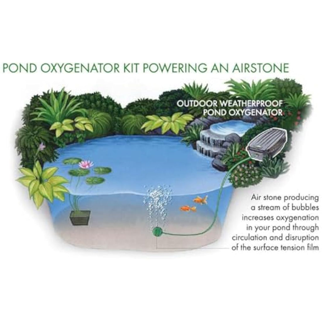 Blagdon Pond Water Oxygenator Kit | 1 Outlet Air Pump for 1000L Ponds