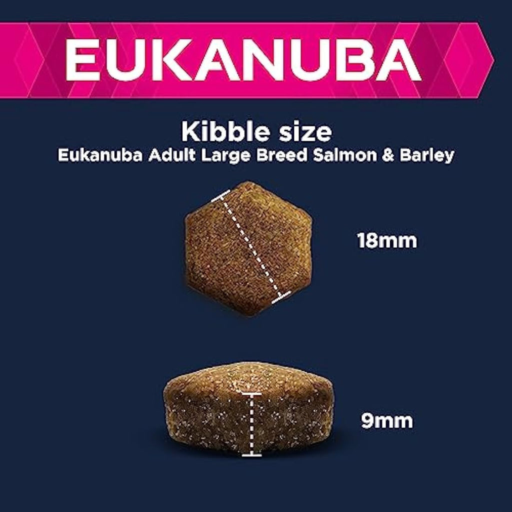 Eukanuba Adult Large Breed Dry Dog Food – Salmon & Barley, 12 kg