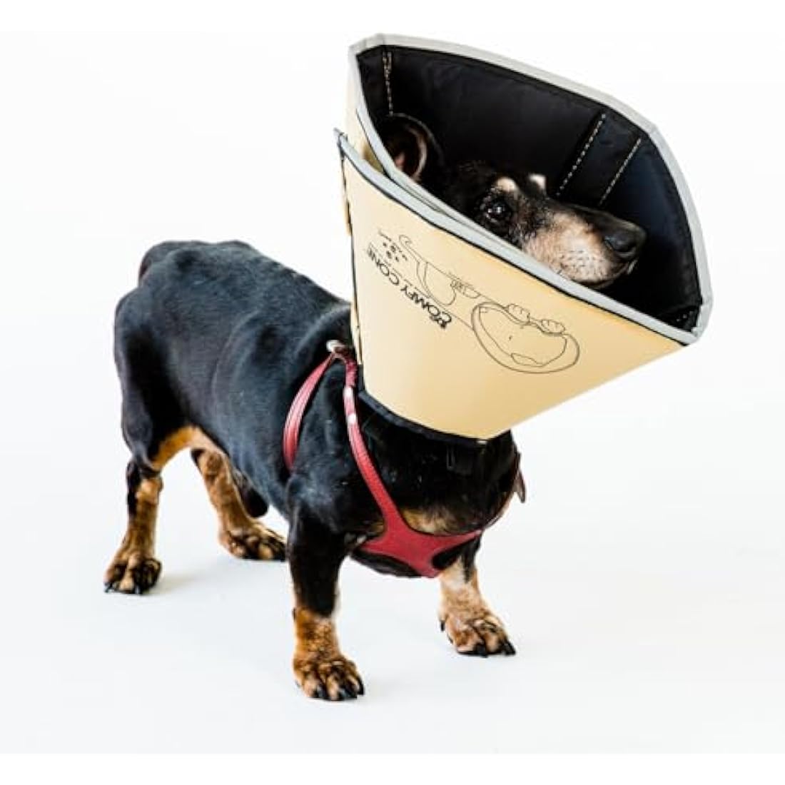 All Four Paws Comfy Cone – Soft Pet Recovery Collar, Tan, Small-Long
