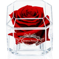 Eternal Petals Preserved Real Rose – Deep Red Infinity Rose in Gift Box