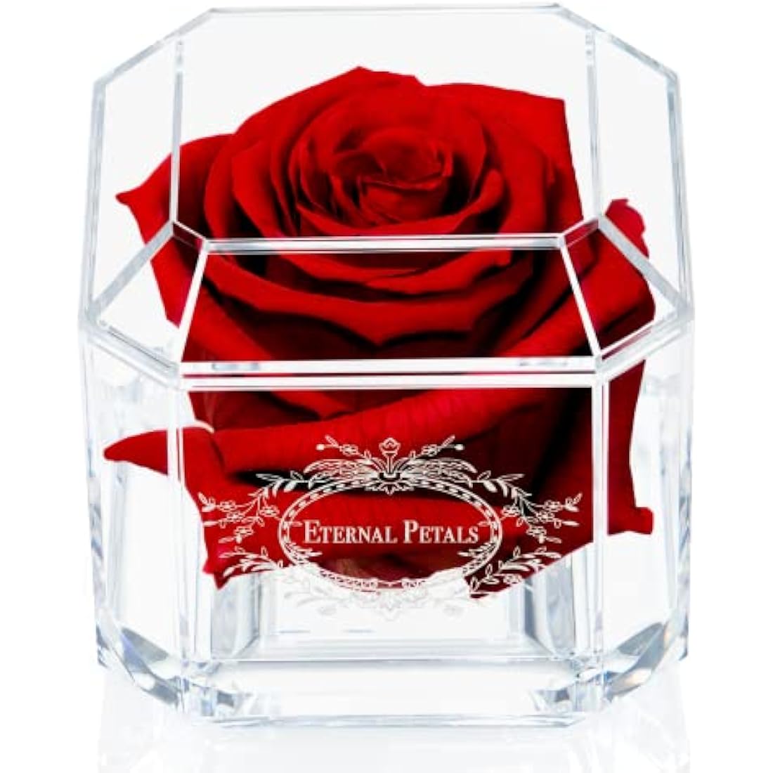 Eternal Petals Preserved Real Rose – Deep Red Infinity Rose in Gift Box