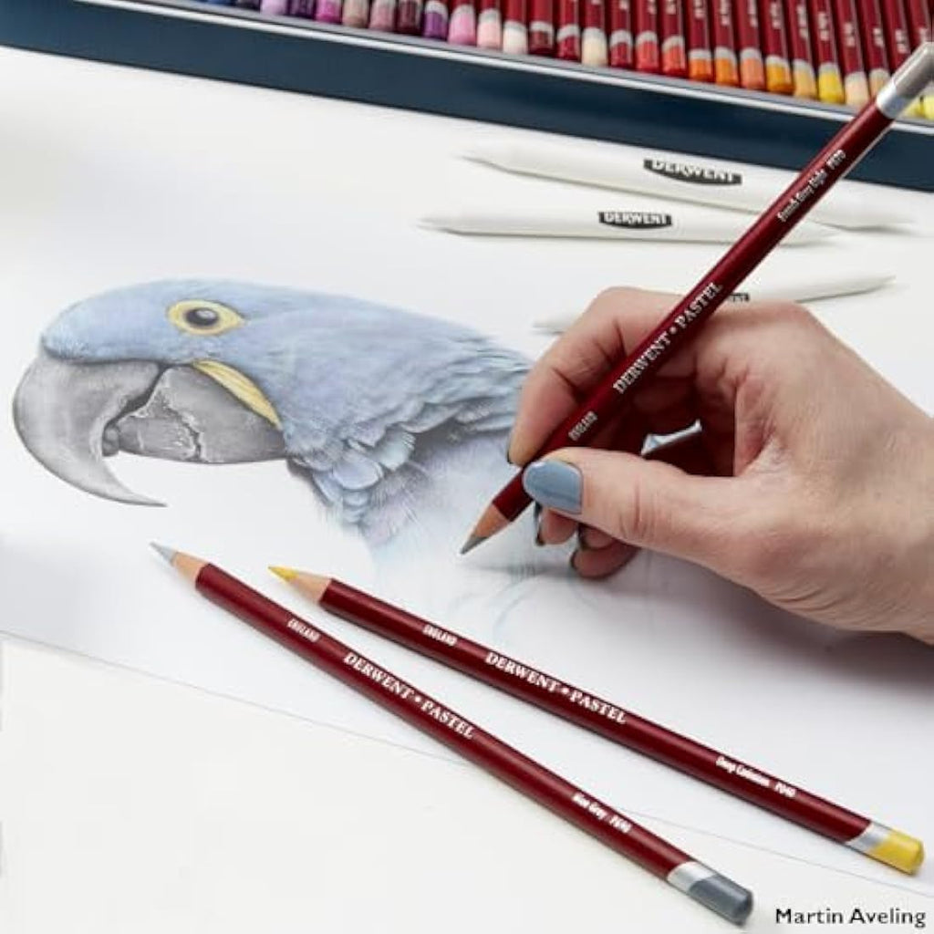 Derwent Pastel Pencils - Professional Drawing & Blending Set of 24