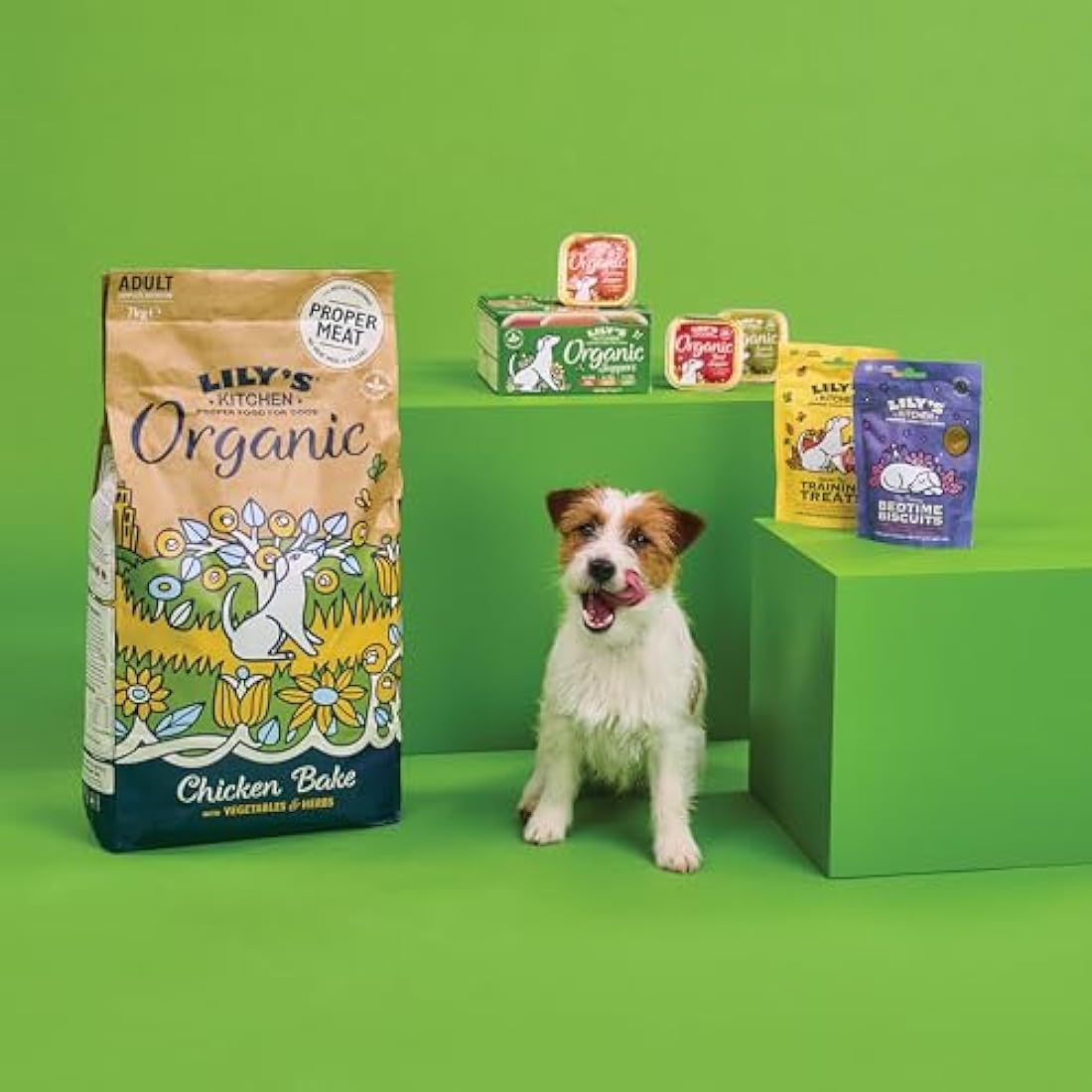 Lily’s Kitchen Organic Beef Wet Dog Food - 11 x 150g Adult Trays