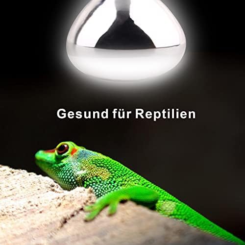 Dernord 80W Mercury Vapor Bulb | UVA UVB Reptile Basking Lamp for Tortoise
