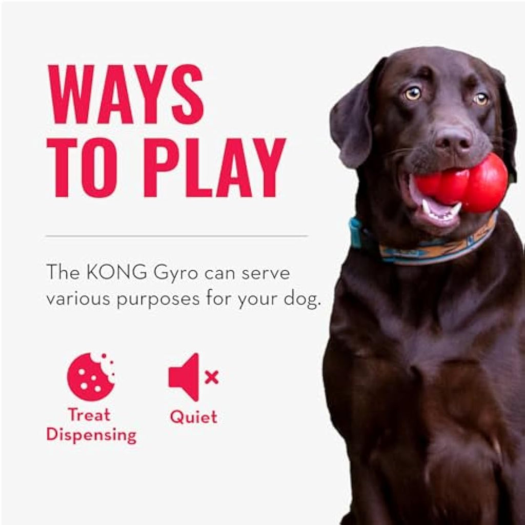 KONG Gyro Interactive Dog Toy – Treat Dispensing Slow Feeder for Large Dogs