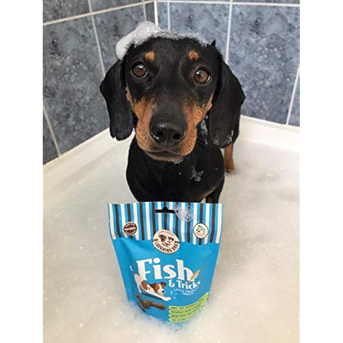 Laughing Dog Fish & Tricks Grain Free Salmon Training Treats – 125g