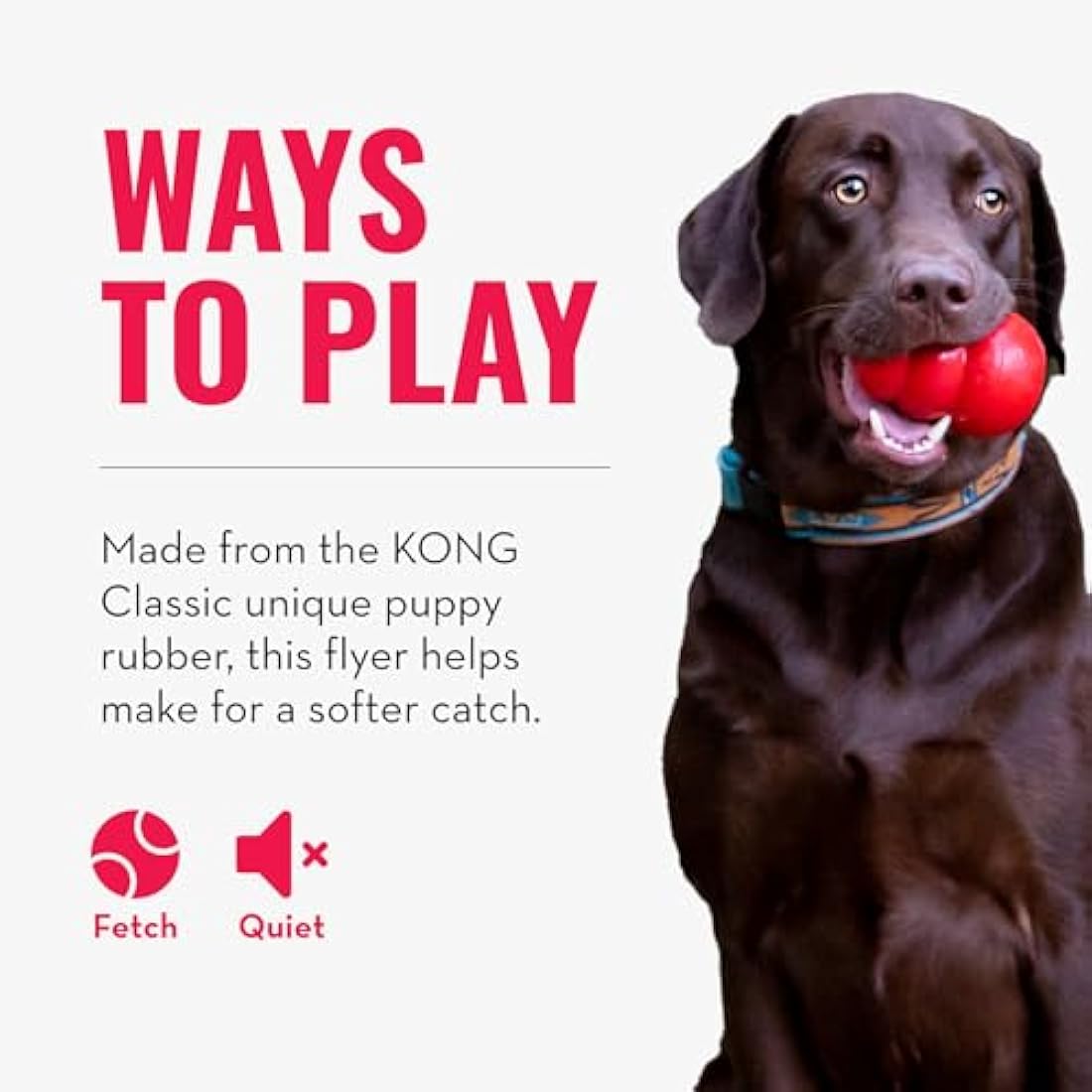KONG Puppy Flyer – Durable Rubber Teething Flying Disc Toy for Puppies