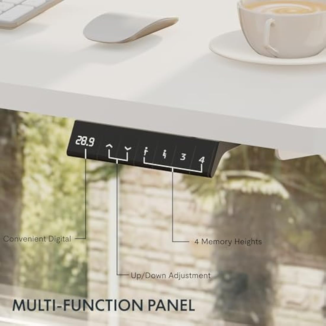 FlexiSpot E1 Plus Electric Standing Desk - 120x60cm Maple & White
