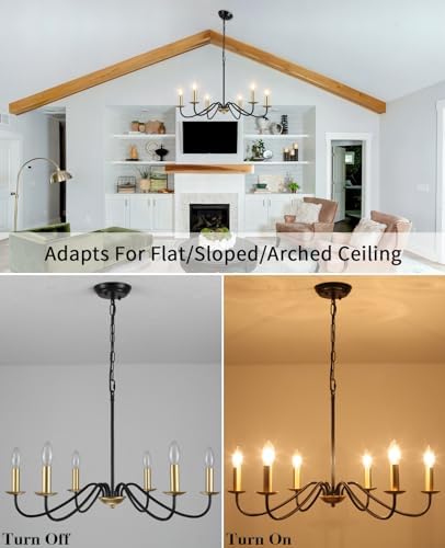 MRHYSWD 6-Light Black and Gold Chandelier | Adjustable Metal Pendant
