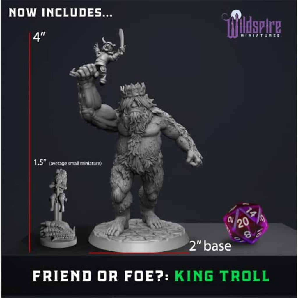 Wildspire Heroes & Troll King DND Miniatures | 29 Unpainted 28mm Figures