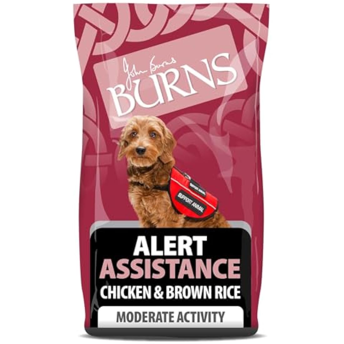 Burns Pet Nutrition Chicken & Brown Rice Hypoallergenic Dog Food - 2kg