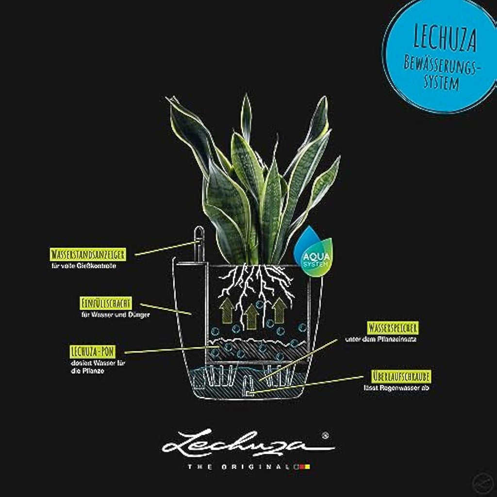 Lechuza CLASSICO Color 60 Self-Watering Planter | Sand Brown Poly-Resin