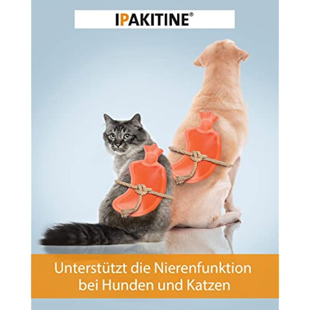 Vetoquinol Ipakitine Kidney Support Phosphate Reducer for Cats - 180g