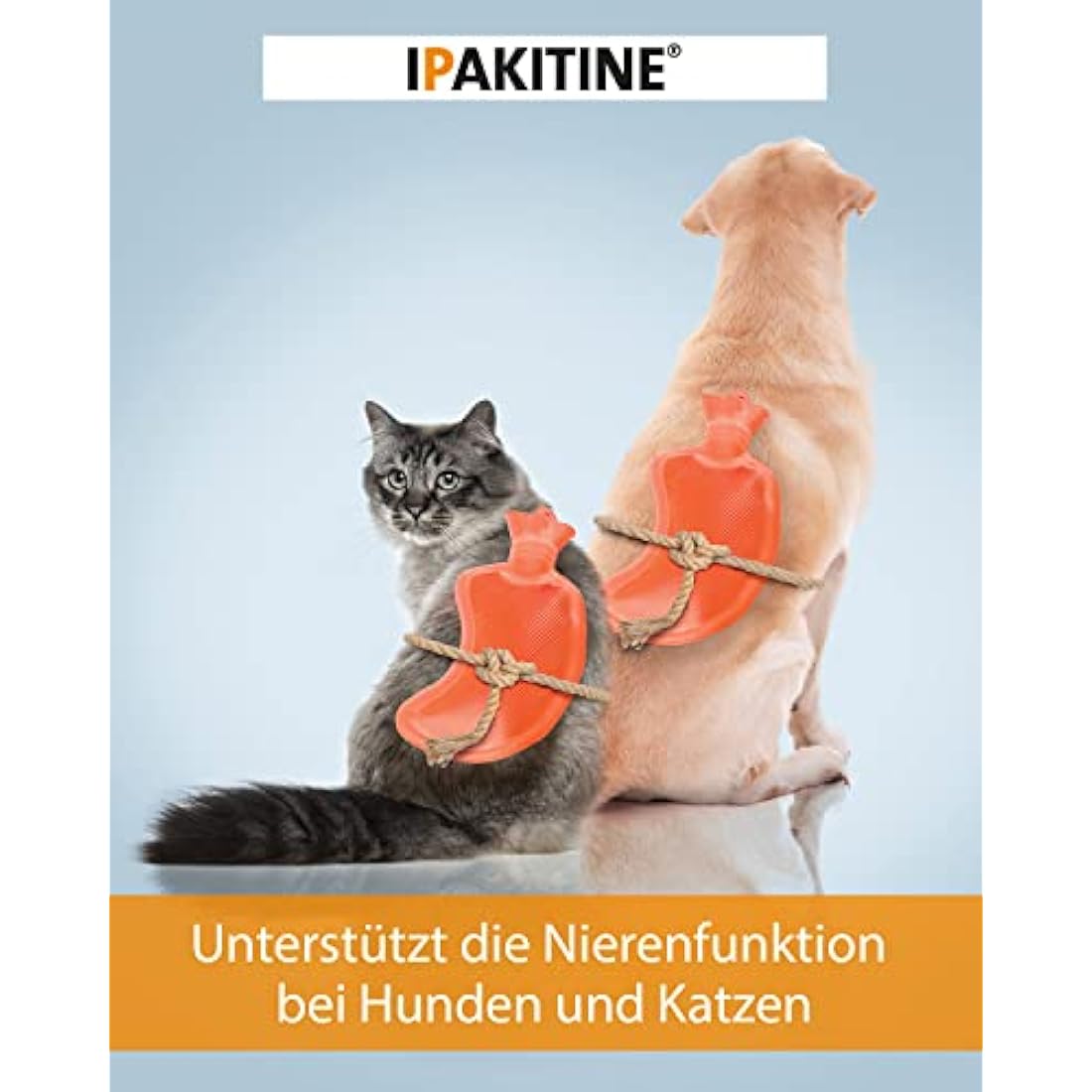Vetoquinol Ipakitine Kidney Support Phosphate Reducer for Cats - 180g
