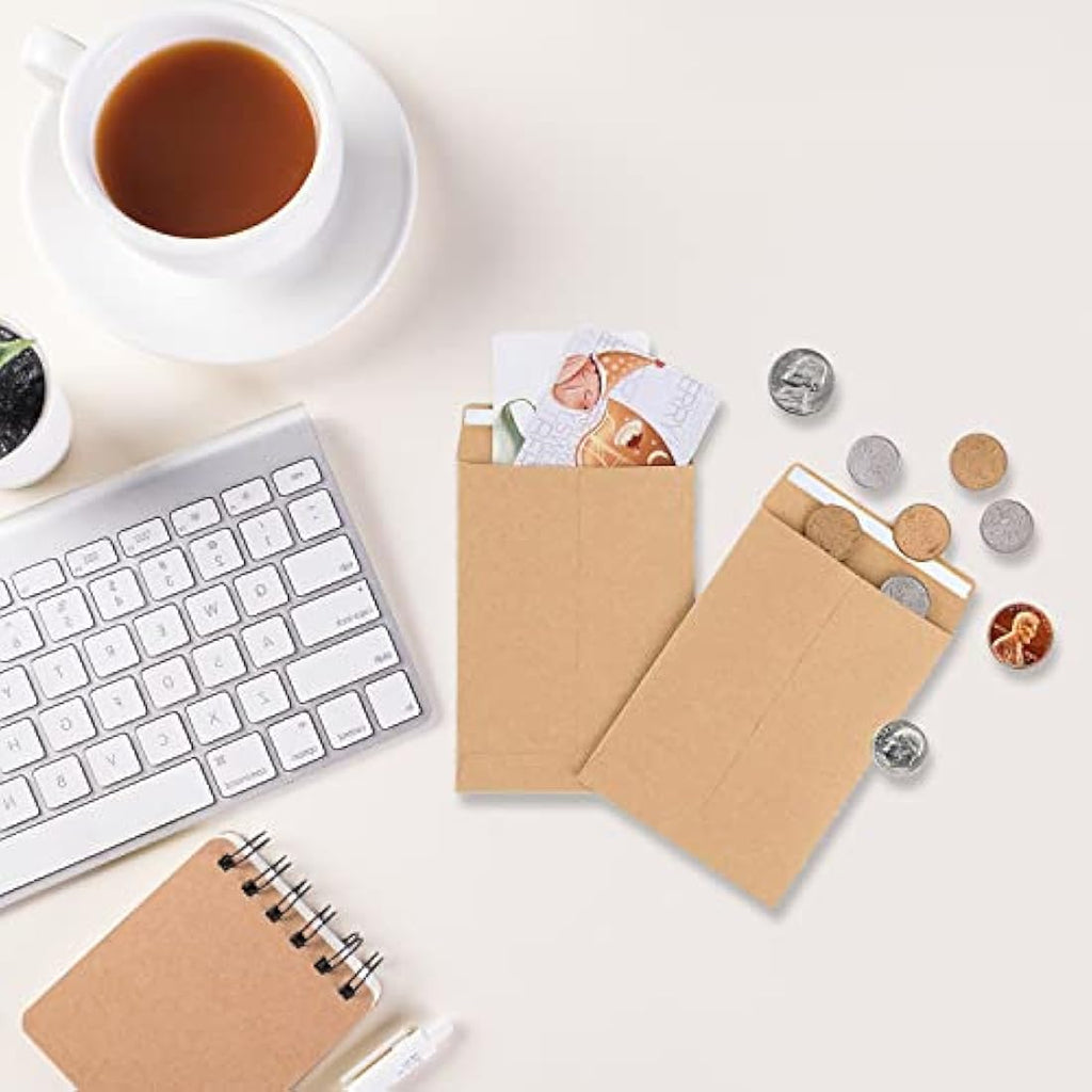 100Pcs Kraft Paper Seed Envelopes | Self-Adhesive Coin Packets