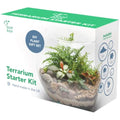 DIY Succulent Terrarium Kit – Large Indoor Plant Gift Box