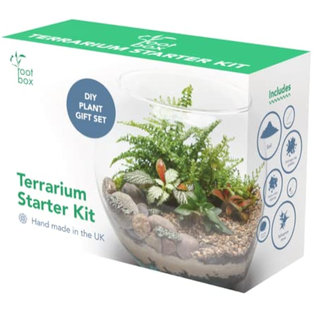 DIY Succulent Terrarium Kit – Large Indoor Plant Gift Box