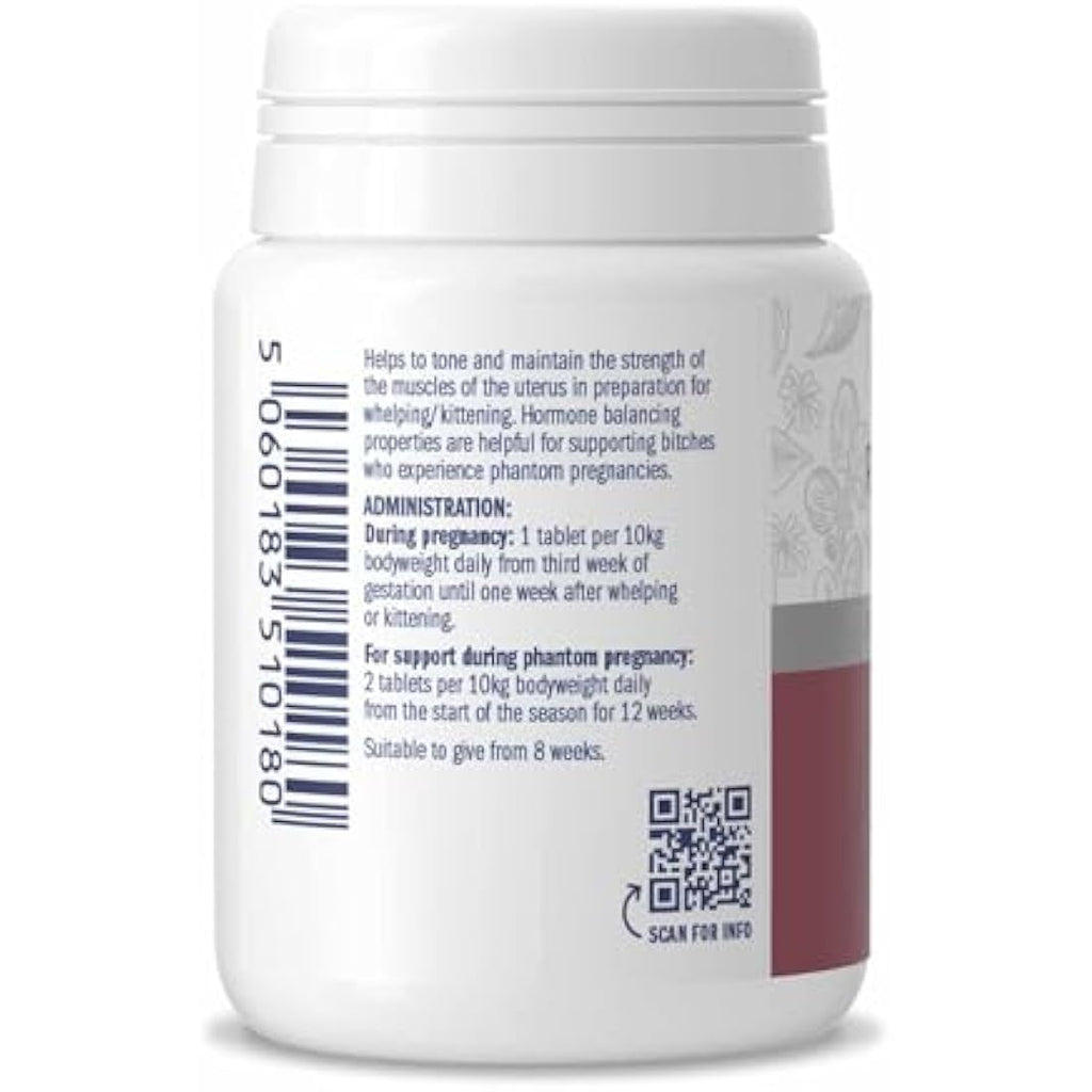 Dorwest Raspberry Leaf Tablets for Dogs & Cats - 200 Whelping Support